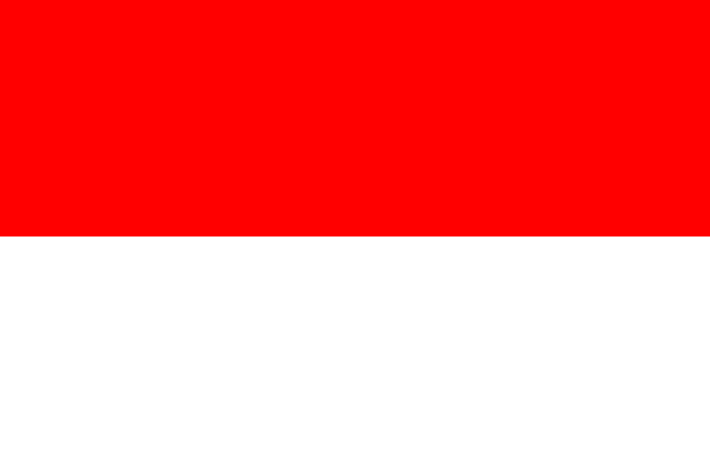 Indonesian Bahasa translation