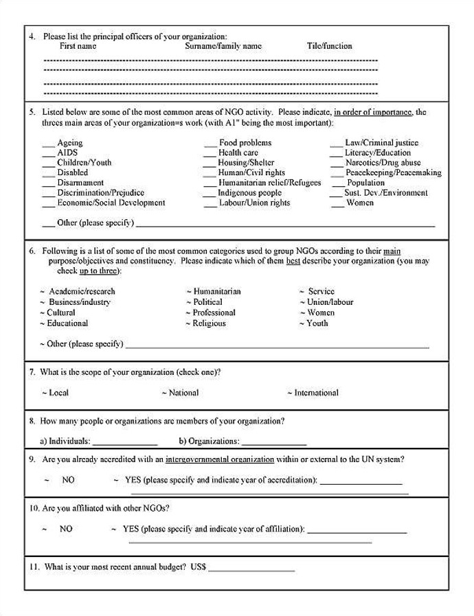 1991 united nations application form